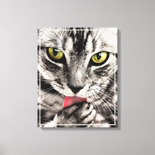 Kat Huisdier Portret Canvas Afdruk (Voorkant)