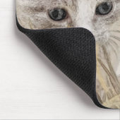 Kat, huisdier, Schattige Muismat (Hoek)