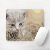 Kat, huisdier, Schattige Muismat (Met muis)