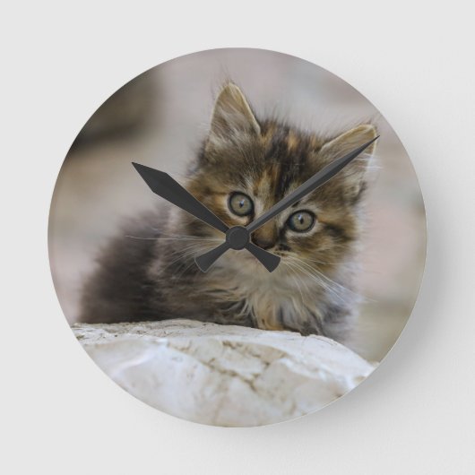 Kat, huiskat, dier ronde klok (Voorkant)