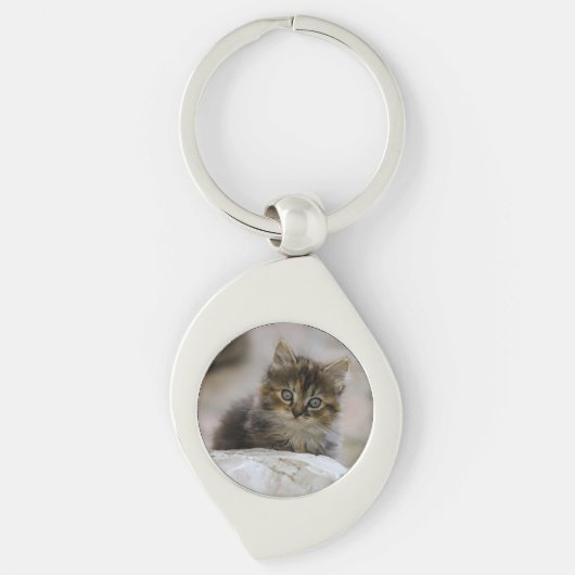 Kat, huiskat, dier sleutelhanger (Voorkant)