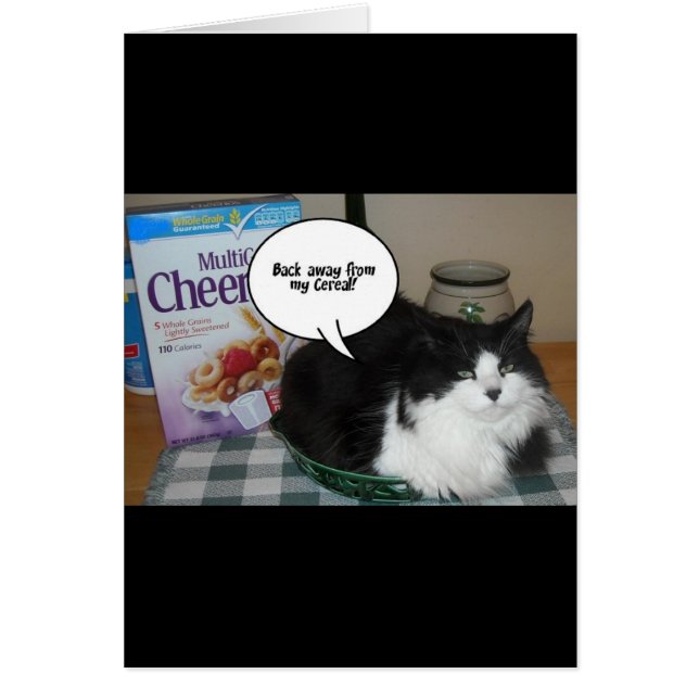 Kat-Humor (Voorkant)