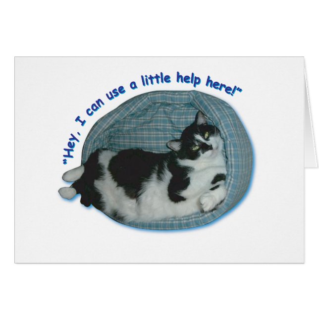 Kat-Humor (Voorkant Horizontaal)