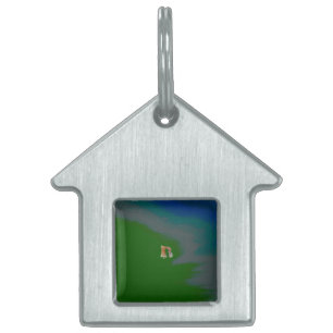 KAT ID TAG ART STYLE ONTWERP HUISDIEREN NAAMPLAATJE