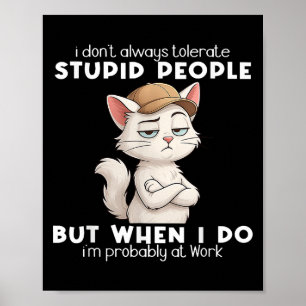 Kat, ik tolereer niet altijd domme mensen poster