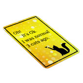 kat ik was normaal magneet (Rechterzijde)