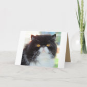 Kat in Bag Surprise Birthday Party Invitation (Achterkant)