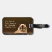 Kat in  Bagagelabel (Achterkant horizontaal)