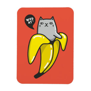 Kat in bananen magneet