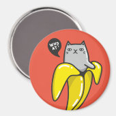 Kat in bananen magneet (Voorkant / Achterkant)