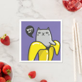 Kat in bananen servet (Insitu)