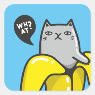 Kat in bananen vierkante sticker