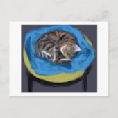 Kat in Bed, Suzanne Valadon Briefkaart (Voorkant)