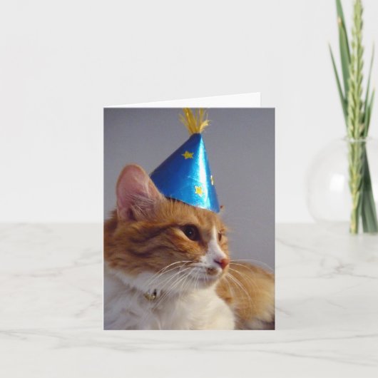 Kat in blauwe feesthoed blanco notitiekaart (Voorkant)