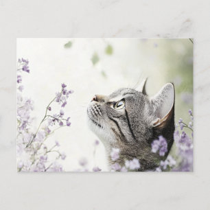 Kat in bloemen briefkaart