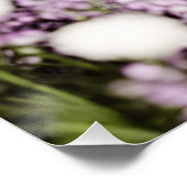 Kat in bloemen perfect poster (Hoek)