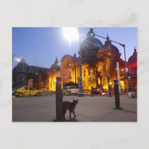 Kat in Boekarest, Roemenië Briefkaart
