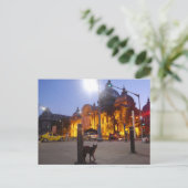 Kat in Boekarest, Roemenië Briefkaart (Staand voorkant)