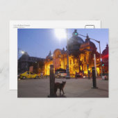 Kat in Boekarest, Roemenië Briefkaart (Voorkant / Achterkant)