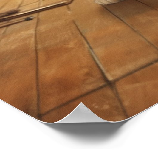 Kat In Boksen Gym Poster (Hoek)