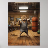 Kat In Boksen Gym Poster (Voorkant)