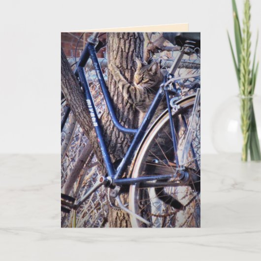 Kat in Boom met Fiets Schattige Grappige Katten Kaart (Voorkant)