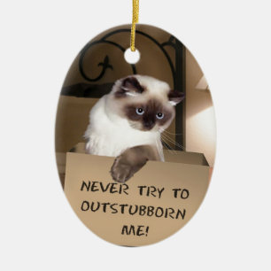Kat in Box Himalayan Keramisch Ornament