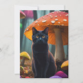 Kat in CHAMPIGNONS Kaart (Voorkant)