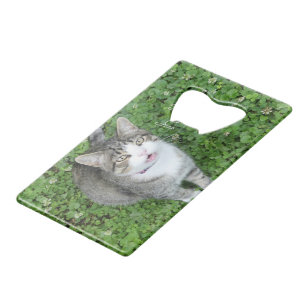 Kat in Clover-Gezegde Hallo Creditkaart Flessenopener