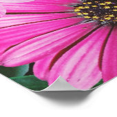 Kat in de bloem poster (Hoek)