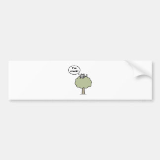 Kat in de boom bumpersticker