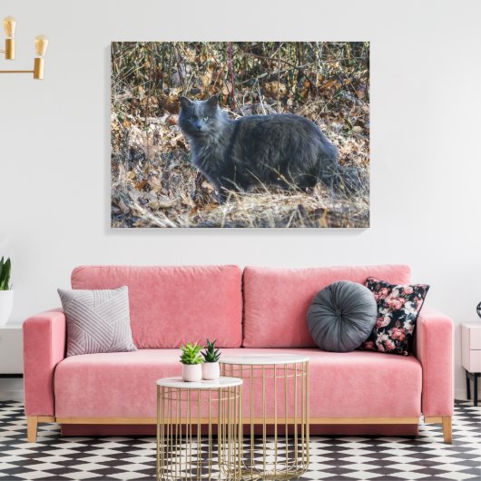 Kat in de Bossen Canvas Afdruk (Insitu (Woonkamer))