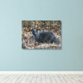 Kat in de Bossen Canvas Afdruk (Insitu (Houten vloer))