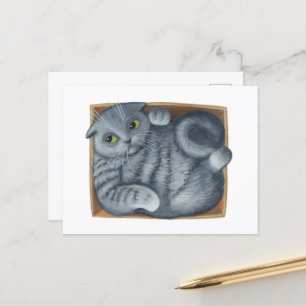 Kat in de doos briefkaart