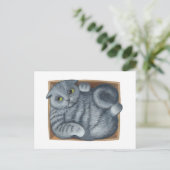 Kat in de doos briefkaart (Staand voorkant)