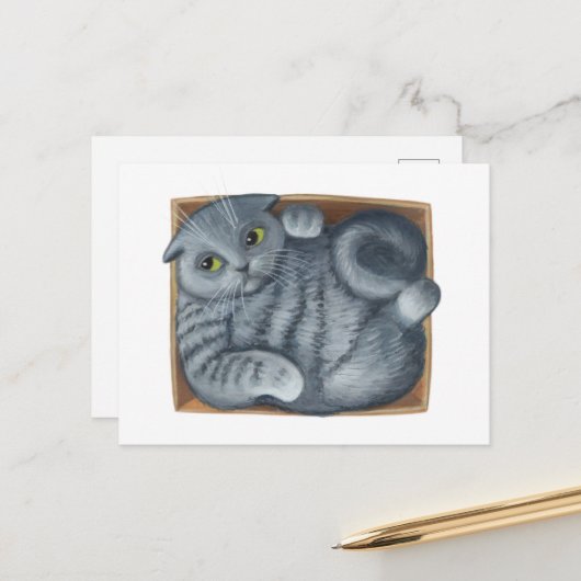 Kat in de doos briefkaart (Voorkant / Achterkant in situ)