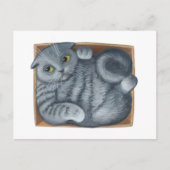 Kat in de doos briefkaart (Voorkant)