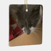 Kat in de doos keramisch ornament (Rechts)