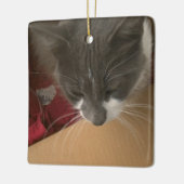 Kat in de doos keramisch ornament (Links)