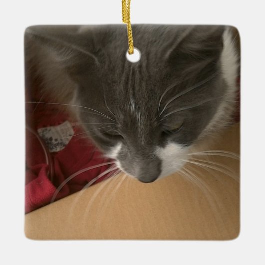 Kat in de doos keramisch ornament (Voorkant)