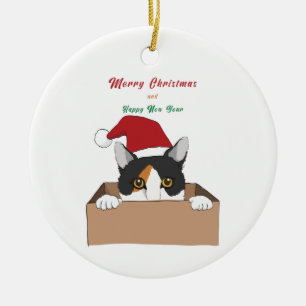 Kat in de doos Kerstmetaal Keramisch Ornament