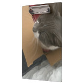 Kat in de doos klembord (Links)