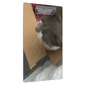 Kat in de doos klembord (Rechts)