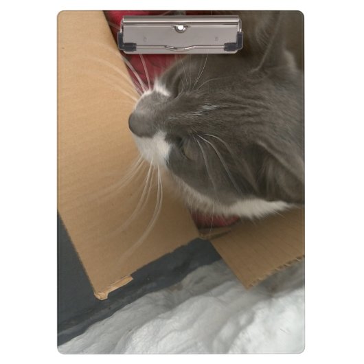 Kat in de doos klembord (Voorkant)