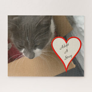 Kat in de doos legpuzzel