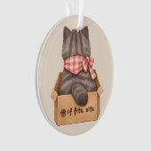 Kat in de doos ornament (voorkant)