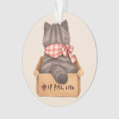 Kat in de doos ornament (voorkant)