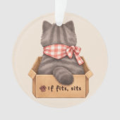 Kat in de doos ornament (voorkant)