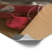 Kat in de doos poster (Hoek)