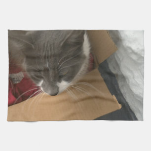 Kat in de doos theedoek